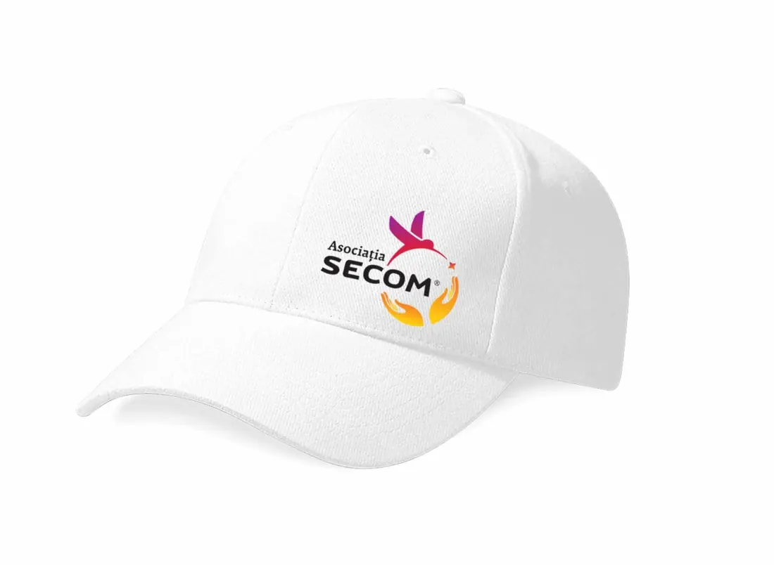 Asociația Secom — Creație · 8